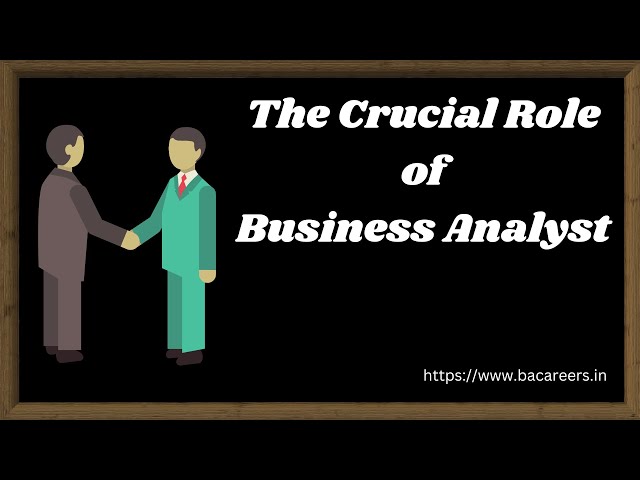 Who Is a Business Analyst? | Business Analyst Roles and Responsibilities | BaCareers