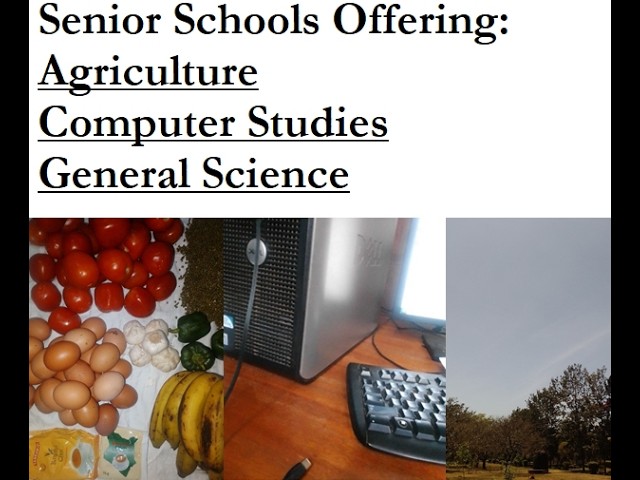 Agriculture, Computer Studies, General Science [C1, C2, C3, C4 Schools]