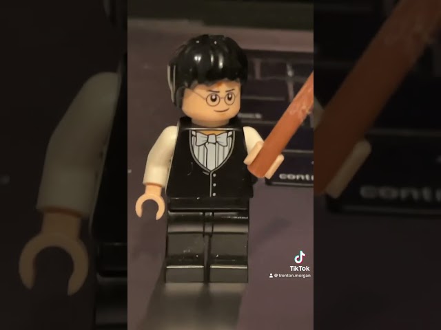 THE BOY WHO LIVED!!!