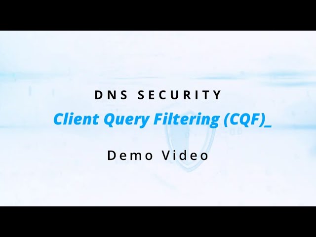 EfficientIP Client Query Filtering Demo Video