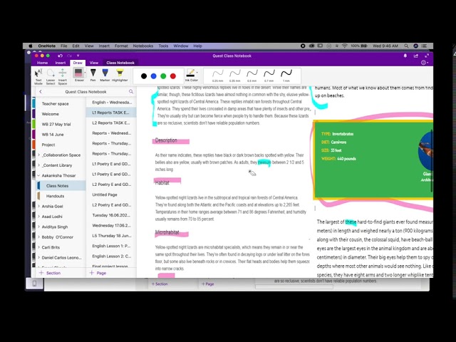 Amity OneNote Tutorial