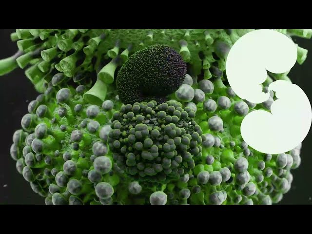 björk : atopos (sideproject remix)