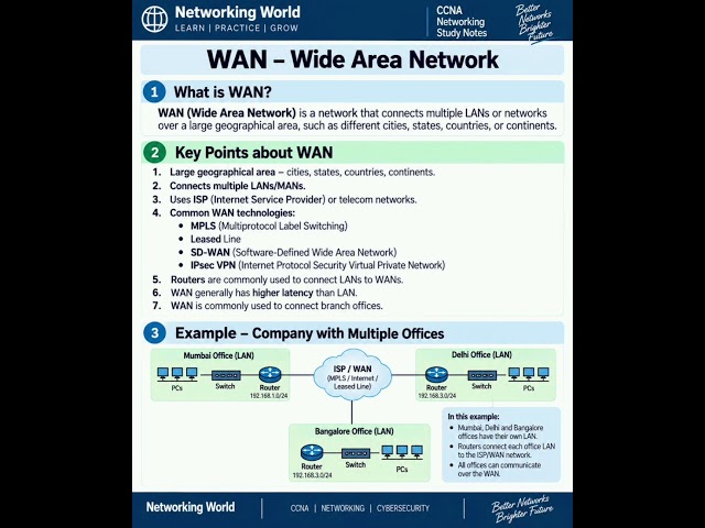 What is WAN? | Wide Area Network | CCNA Networking
