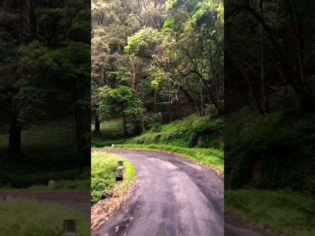 Travel is part of live.#travel_with_bokka#ohiya #srilanka #travelphotography #travel #travelsrilanka