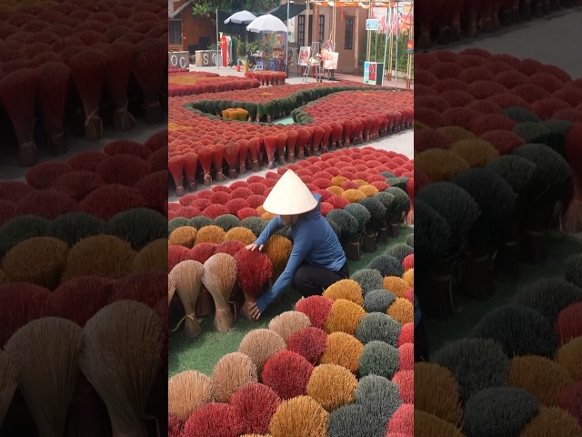 Process of making INCENSE STICKS. VIETNAMESE village with 100 YEARS of incense making tradition.