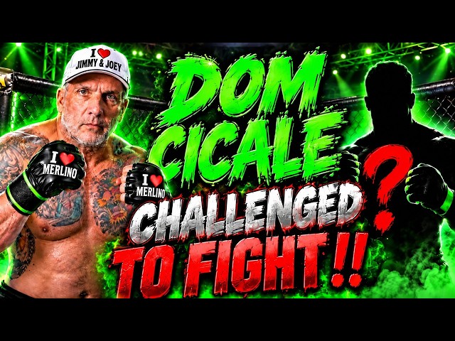 DOM CICALE CALLED OUT TO FIGHT ‼️ WILL HE ACCEPT OR MAKE EXCUSES