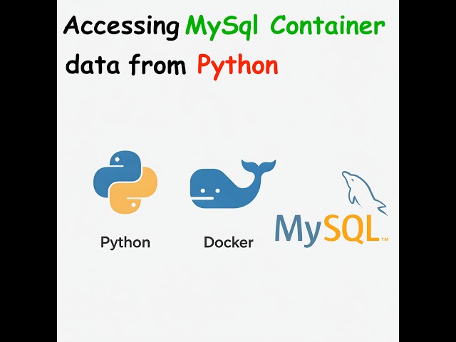 Accessing MySql container data from Python class
