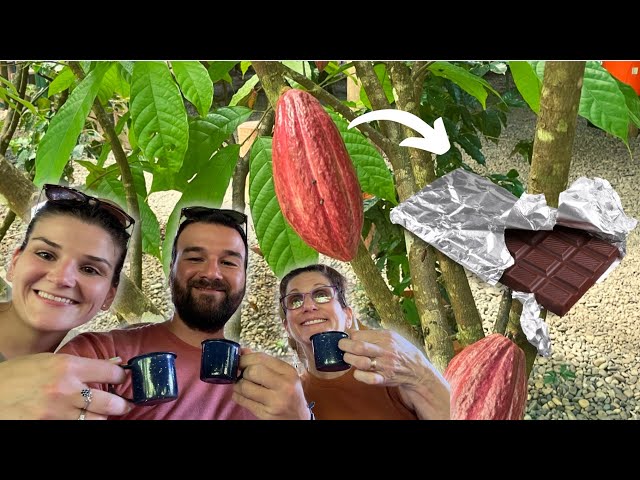 How Chocolate is Made