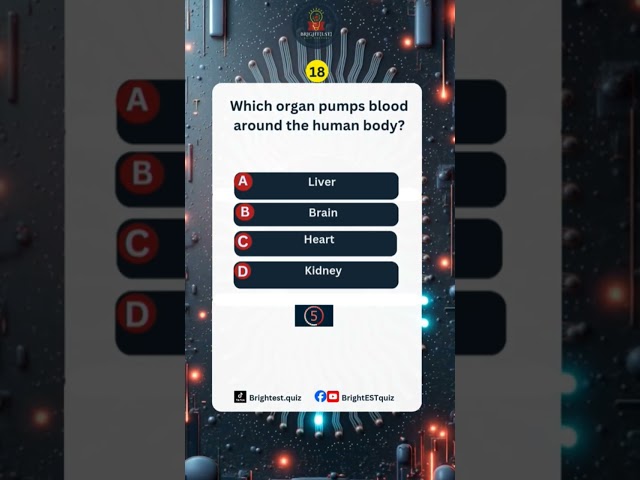 Brightest Trivia Quiz Shorts Challenge (7) #triviachallenge #quizgame #brightestquiz #fypシ゚viral
