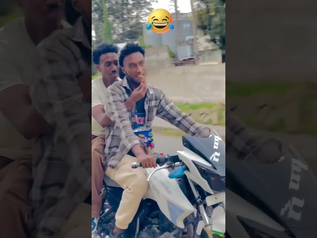 Lover boy. #reels #shorts #shortvideo #shortsfeed #shortsviral #funny #funnyvideo #funnyshorts
