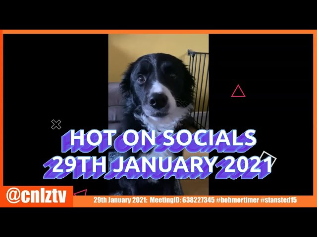 Funny! Hilarious! Side-splitting! Great social media videos to give you a giggle during lockdown