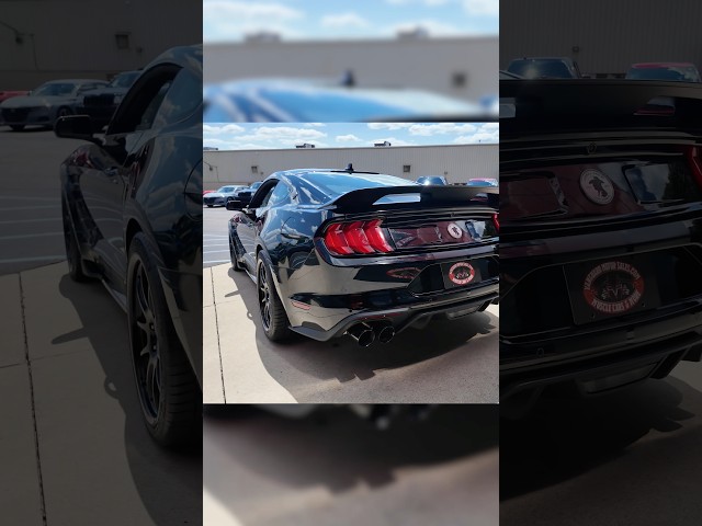 Check out our New Arrival! 2023 Ford Mustang Shelby Centennial Edition