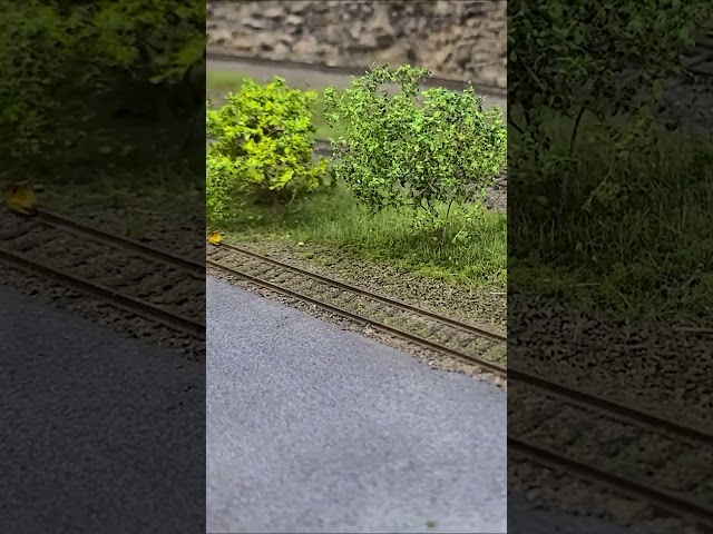 Old tracks look GOOD