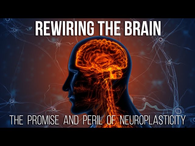 Rewiring the Brain: The Promise and Peril of Neuroplasticity | World Science Festival