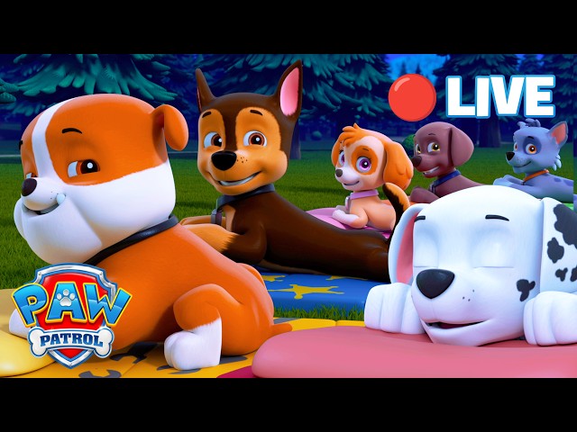 🔴 LIVE | Bedtime Cartoons With the PAW Patrol | PAW Patrol
