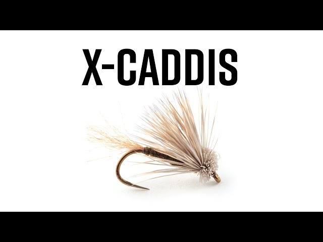 X-Caddis