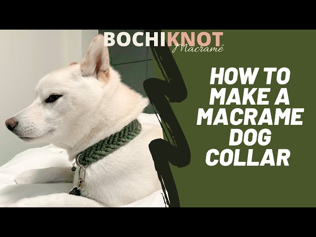 DIY: How to Make a Macrame Dog Collar | Clove Hitch pattern
