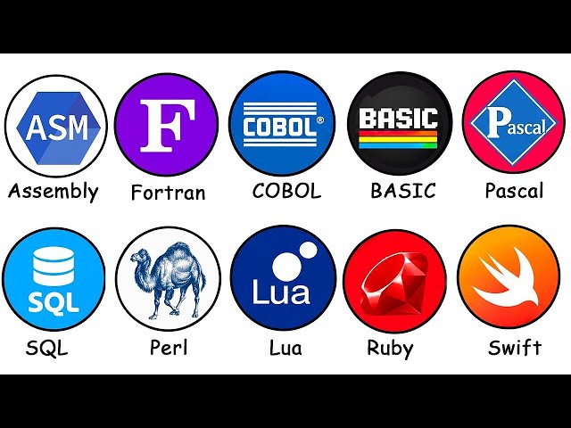 Every Programming Language Explained-🚀