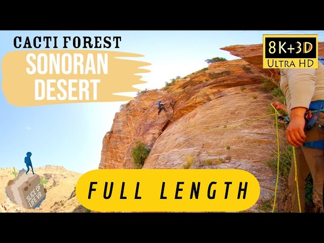 8k 3D 1,000 Feet in the Air: Surviving 12 hrs Sonoran Desert Cacti Forest Rock Climb Arizona