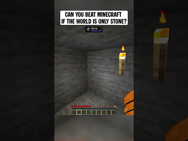 Can you Beat Minecraft if the World is ONLY Stone?