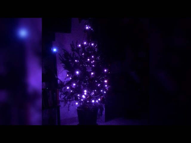 Christmas Lights
