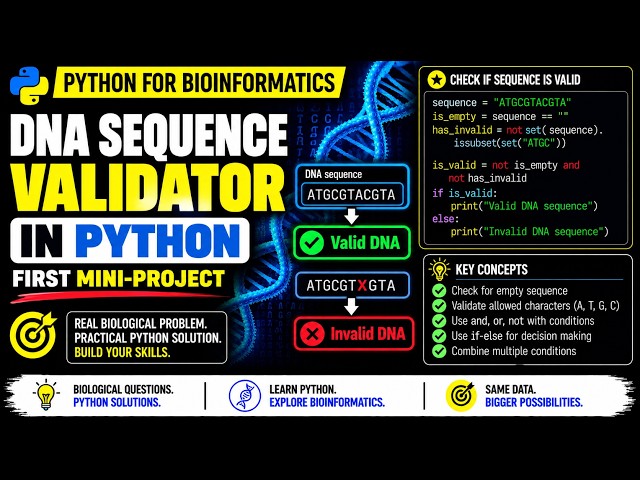 Building a DNA Sequence Validator in Python | if-else & Boolean Logic | Python for Bioinformatics