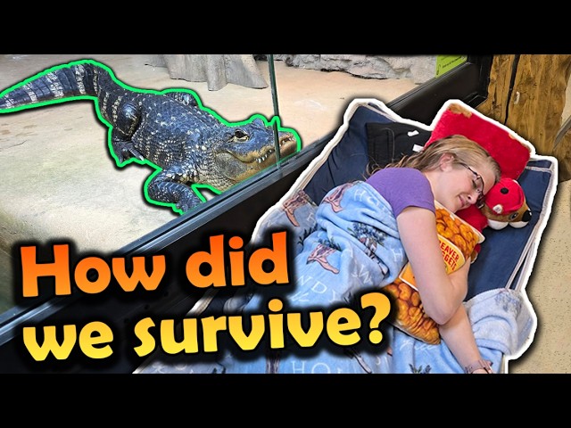 24 Hours Trapped Inside Snake Discovery (Snowstorm Survival)