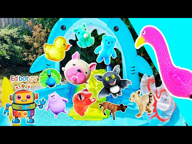 Learn Animal Names for Kids at the Shark Pool: Flamingo Chameleon Zebra Duck Rhino