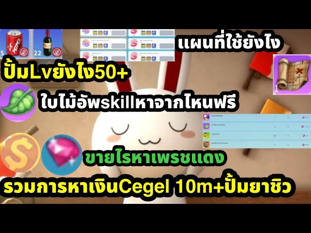 seal m on cross ปั้มlvยังไง50 รวมการหาเงินCegel ขายไรหาเพรชแดง ใบไม้อัพสกิลฟรี แผนที่ใช้ไง