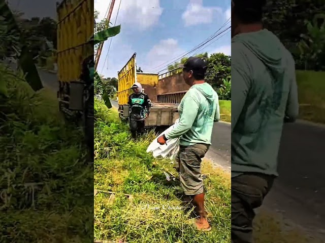 Kubota DC-35 Pro Turun dari Truck #shorts
