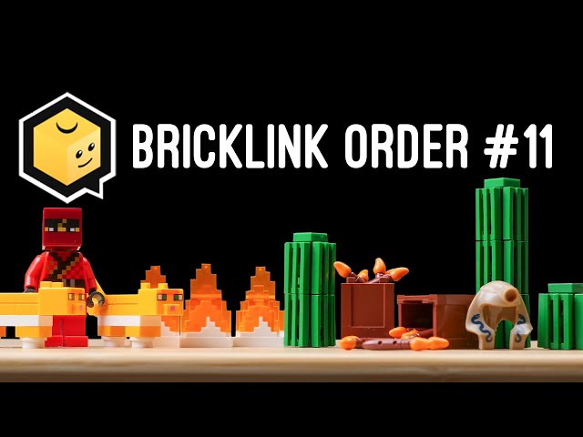 BrickLink Order #11 - Preparing for the Village Raid