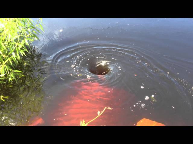 We found a water vortex