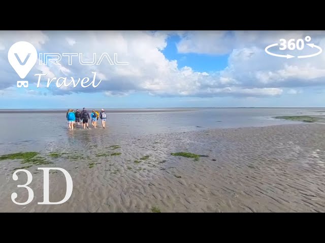 Nederland - Wadlopen in 360 VR 3D