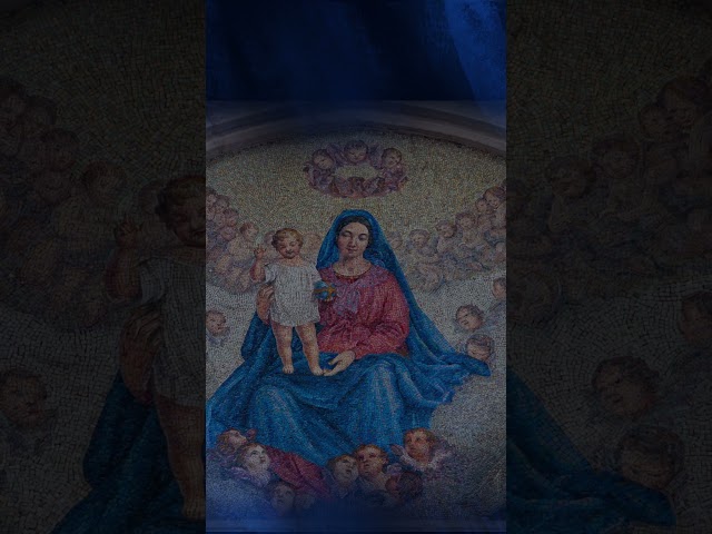 Hail Holy Queen Enthroned Above | Traditional Catholic Marian Hymn #mary #catholic #salveregina