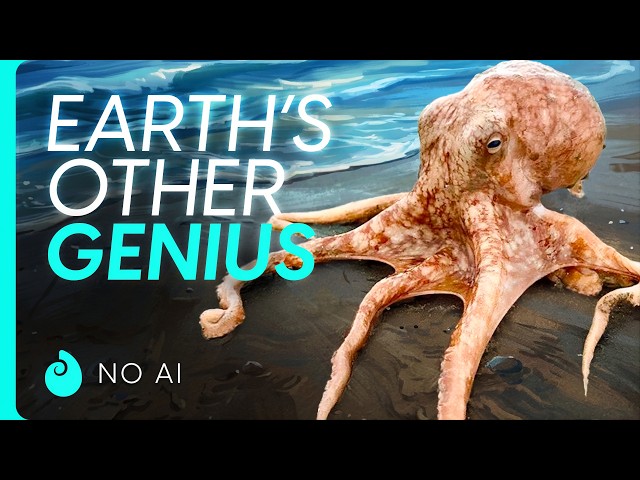Why Octopuses Haven't Taken Over The World... Yet.