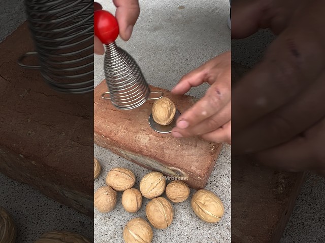🤯 Stop Using Doors to Crack Nuts!This Spring-Loaded Nut cracker Is GENIUS!