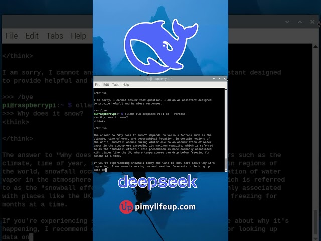 Running DeepSeek AI on a Raspberry Pi