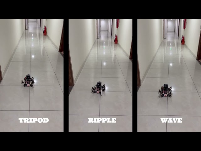 Hexapod Walking Test – Tripod, Wave & Ripple Gaits