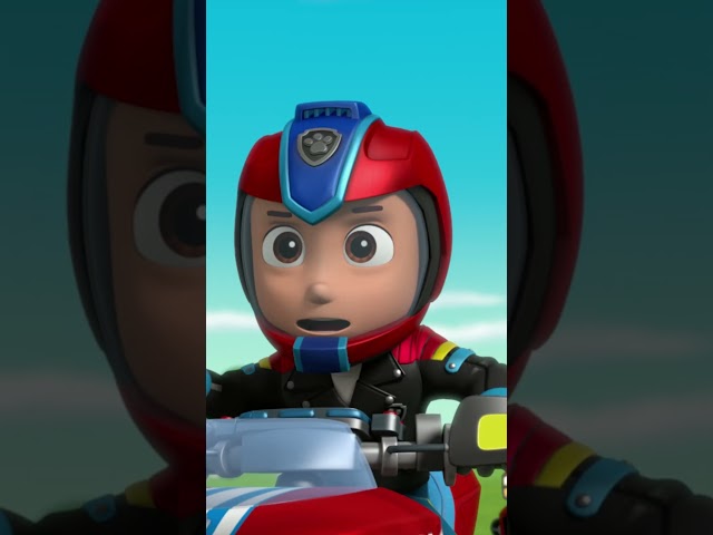 Runaway Ferris Wheel! Oh-No! #PAWPatrol #Shorts