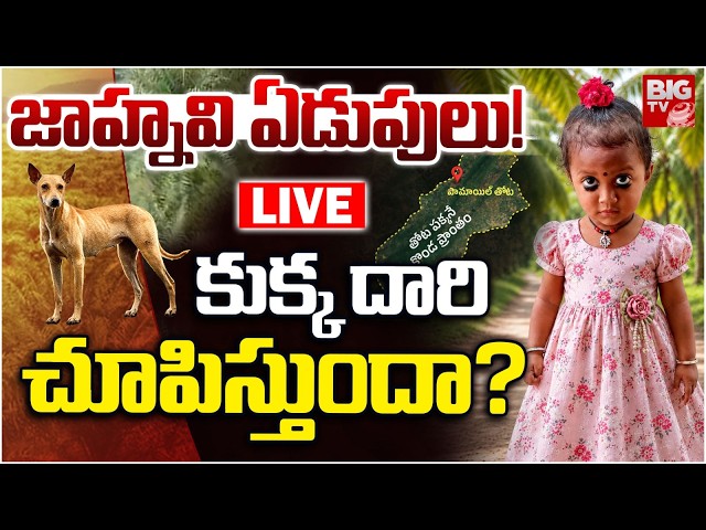 Kakinada Jahnavi Missing Case LIVE Updates | జాహ్నవి ఏడుపులు! కుక్క దారి చూపిస్తుందా? | BIG TV