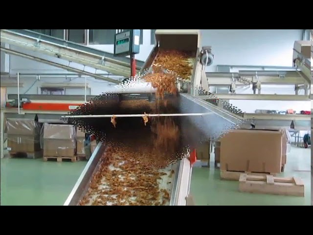 Tobacco processing line