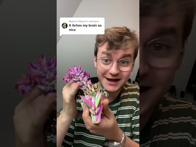 3D PRINTED DRAGON THAT ITCHES YOUR BRAIN!