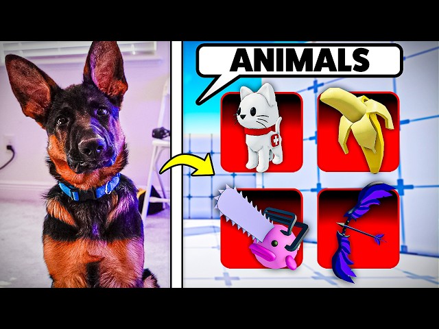 My Dog chooses MY LOADOUT in Roblox Rivals!