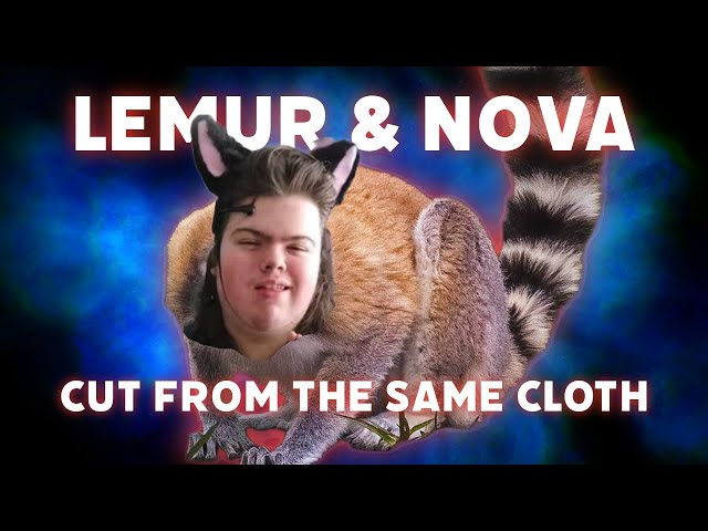 SIMILARITIES BETWEEN THE LEAPING LEMUR AND NOVA - Nova Online Reaction #24