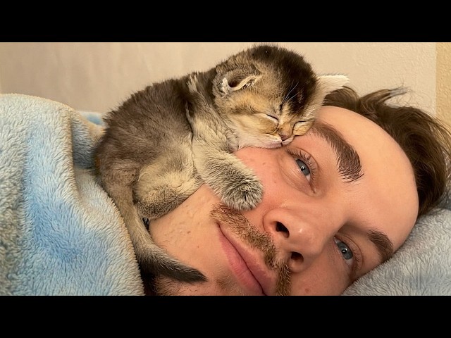 These Adorable Kittens Can’t Get Enough Of Their Human! 🥰