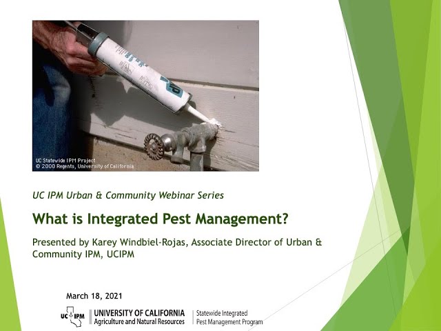 What is IPM?