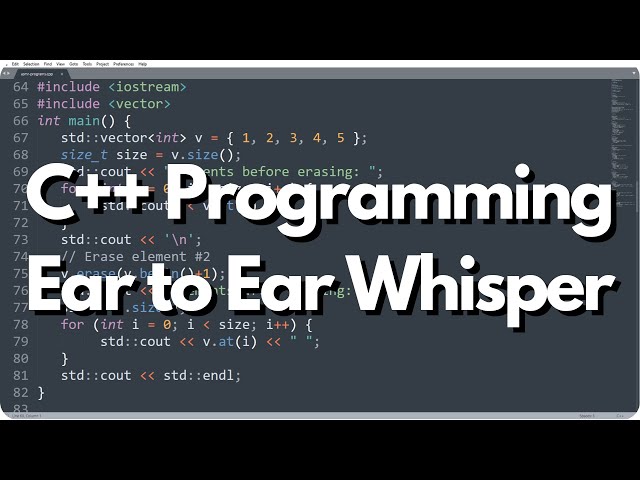 ASMR 𝐂++ 𝐏𝐫𝐨𝐠𝐫𝐚𝐦𝐦𝐢𝐧𝐠: An Introduction to Containers (Layered Typing) Pt. VIII
