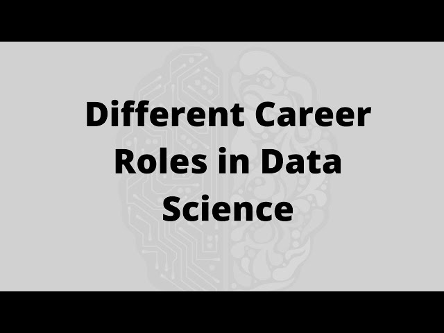 Understanding Career Paths in Data Science | Which Path is best fit for you