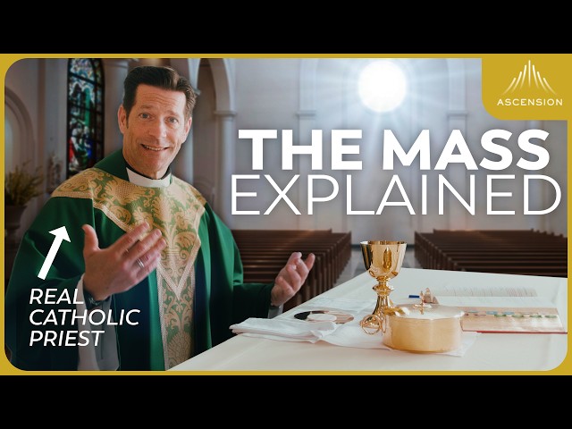 Catholic Mass 101: Learn Every Part of the Mass and What It Means (w/ Fr. Mike Schmitz)