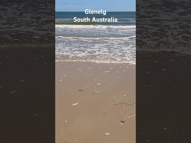 Glenelg South Australia. #shorts #glenelg #australia